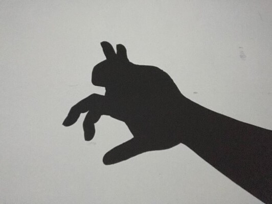 手影絵のウサギ