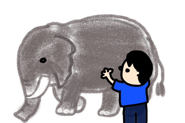 象のお腹を触る盲人